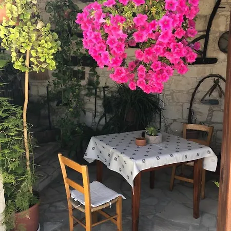 Olympia Traditional Lympia