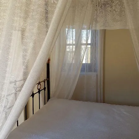 Olympia Traditional * Lympia