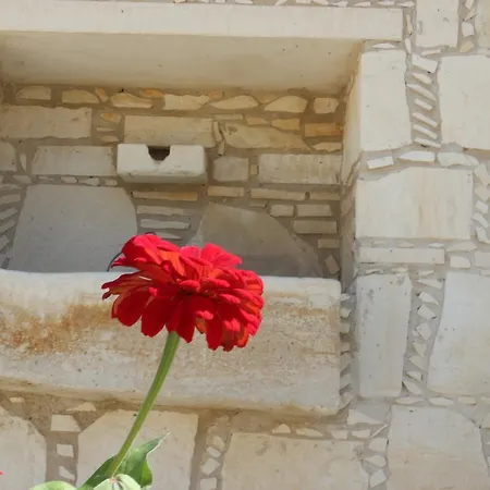 Olympia Traditional Διαμέρισμα