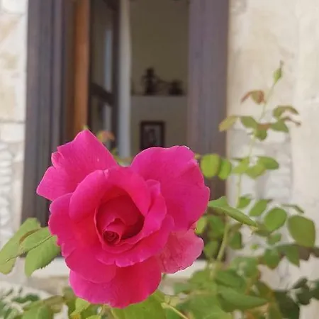 Apartamento Olympia Traditional